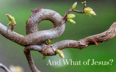 And What of Jesus?