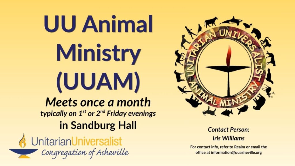 On a light yellow background, navy blue text reads, "UU Animal Ministry (UUAM). Meets once a month, typically on 1st or 2nd Friday evenings in Sandburg Hall." To the right of the text is the older version of the UUAM logo with a circle around the UU flaming chalice image and silhouettes of various animals around the outside of the circle. In the circle, between the chalice and the animal silhouettes it reads in all capital letters, "UNITARIAN UNIVERSALIST ANIMAL MINISTRY." Under the image, text reads: "Contact person: Iris Williams. For contact info, refer to Realm or email the office at information@uuasheville.org connect@uuasheville.org." There is also a logo for the Unitarian Universalist Congregation of Asheville with a blue and yellow chalice in the bottom left corner.