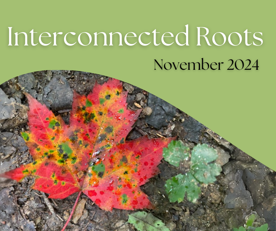 Image of food waste on a green and white background with text: Green tip of the month- Let's work on reducing food waste in the new year,