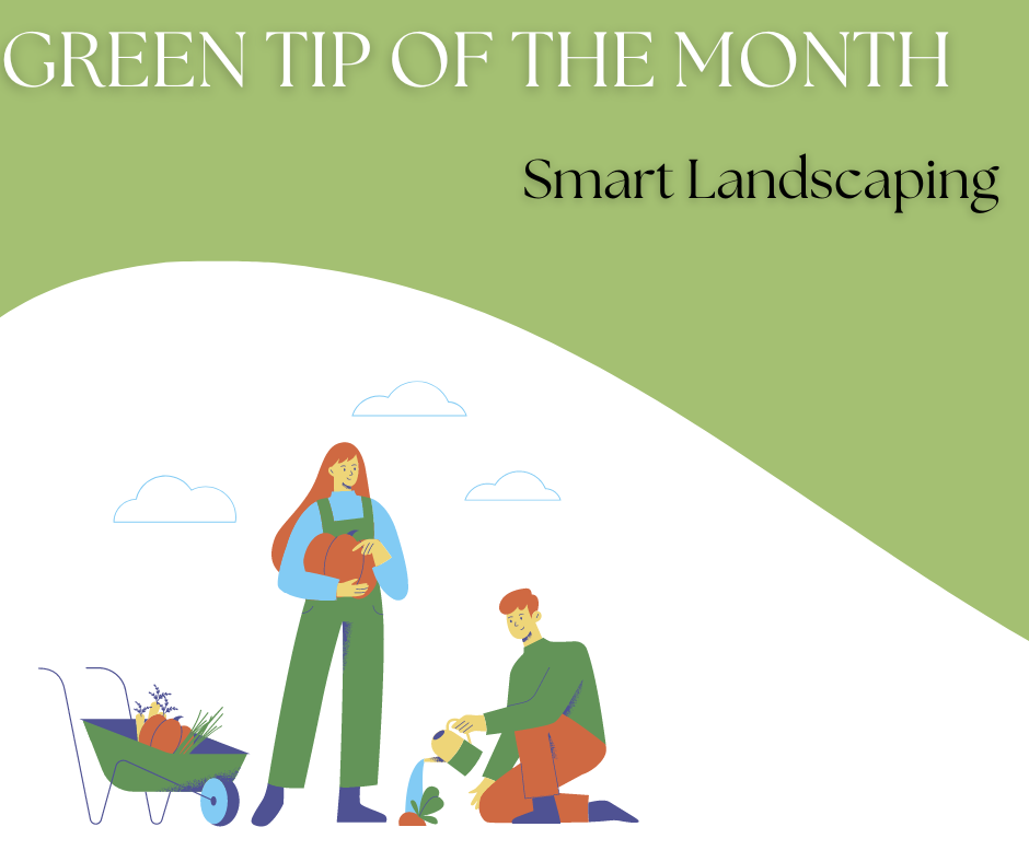 Image of food waste on a green and white background with text: Green tip of the month- Let's work on reducing food waste in the new year,